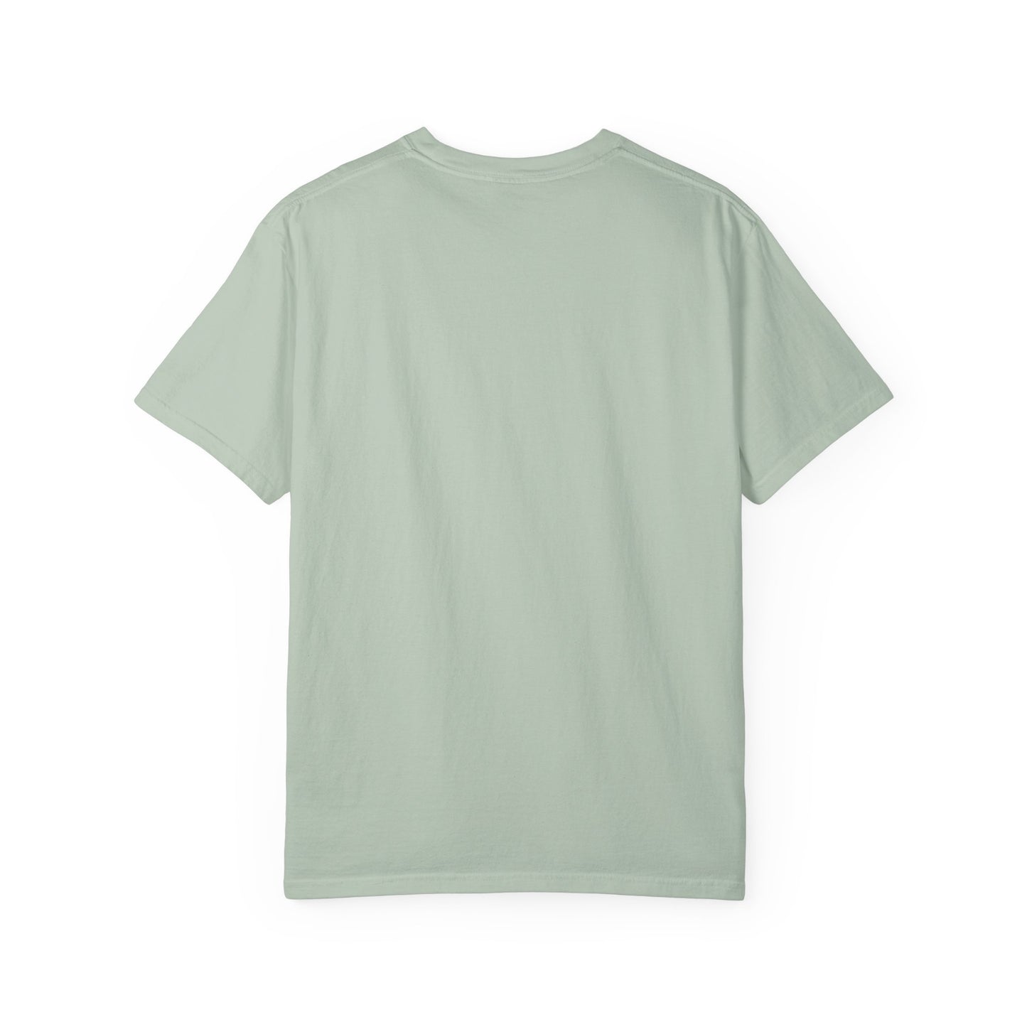 Soft Casual T-Shirt for Everyday Wear, Unisex Garment-Dyed Tee, SPX Printed Fashion, Eco-Friendly Fashion, Perfect Gift Idea